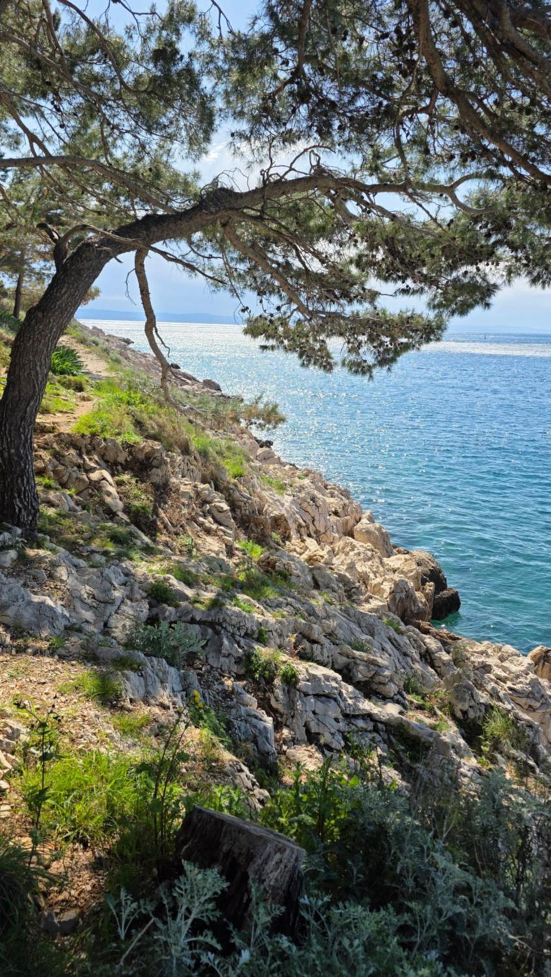 As Apartment Makarska